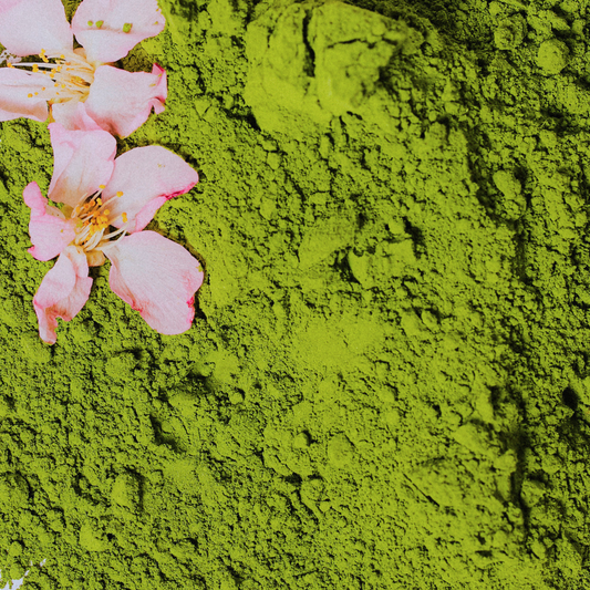 753 Matcha and Sakura Matcha Compared